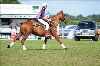 UKPA NC SAT_2286